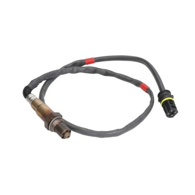 BOSCH Sonde lambda  0 258 006 318 (X1)