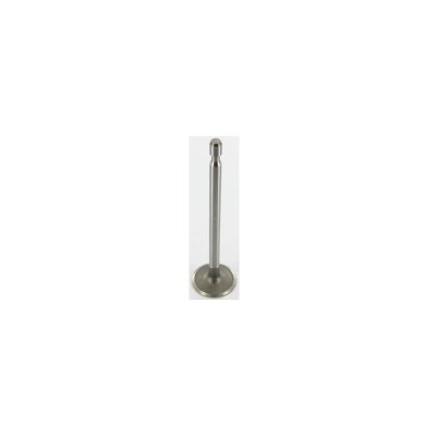  Soupape d'admission BRIGGS ET STRATTON 262247