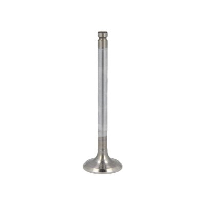 FRECCIA Soupape d'admission  R6153/SCR
