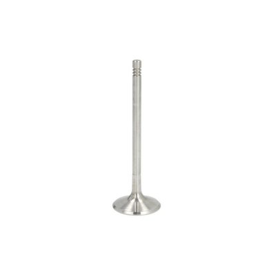 FRECCIA Soupape d'admission  R6206/S