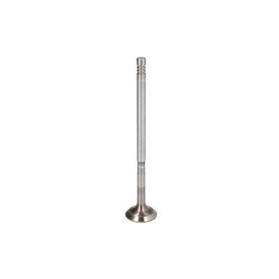FRECCIA Soupape d'admission  R6304/SCR