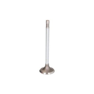 FRECCIA Soupape d'admission  R6548/SCR