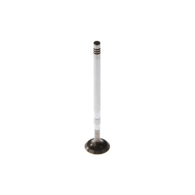 FRECCIA Soupape d'admission  R6636/SCR