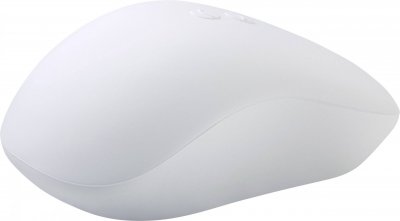 RENKFORCE Souris sans fil -  - Mod&egrave;le IP53 - Antimicrobienne - 4 boutons - Couverture 20m