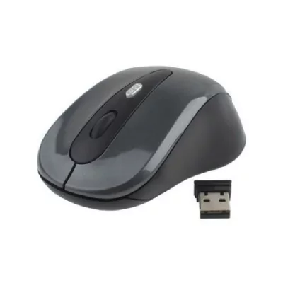 YONIS Souris Sans Fils Universelle Optique 2600 Dpi 2.4 Ghz USB Plug & Play Gris Fonc&eacute; -  
