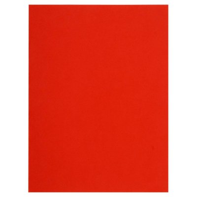 EXACOMPTA Sous chemises forever 220g rouge x 100