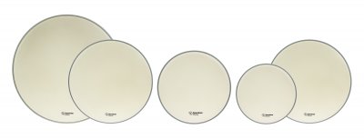 SPAREDRUM  10-12-14 + Cc 14 + Gc 18 Alverstone Coated Fusion Pack 5 Peaux