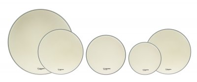 SPAREDRUM  10-12-14 + Cc 14 + Gc 20 Alverstone Coated Fusion Pack 5 Peaux