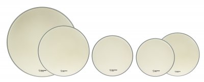 SPAREDRUM  12-13-16 + Cc 14 + Gc 22 Everest Coated Standard Pack Pack 5 Peaux