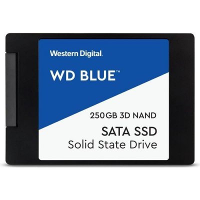WESTERN DIGITAL SSD  Blue 3D NAND 250 Go