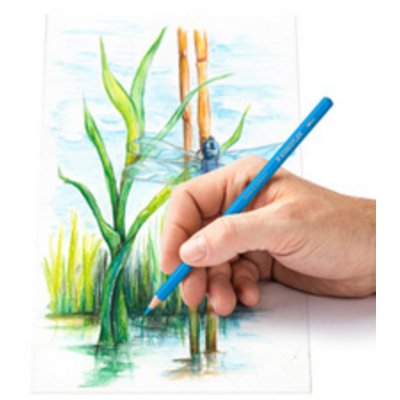 STAEDTLER  - Crayons de couleur aquarellables adultes - Multicolore