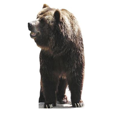 GENERIQUE STAR CUTOUTS - Stsc72 - Figurine G&eacute;ante - Ours 165 Cm