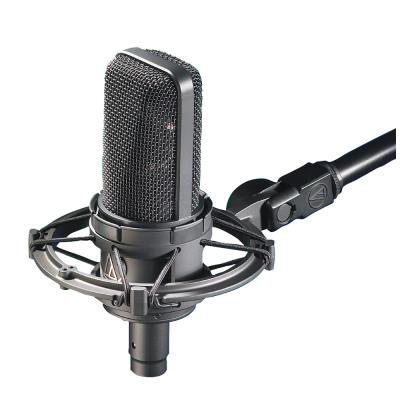 AUDIO TECHNICA Statique  AT4033ASM Micro large capsule