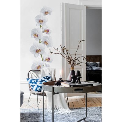 PLAGE Sticker autocollant d&eacute;coratif, photo d'une fleur orchid&eacute;e, 56 cm X 164 cm