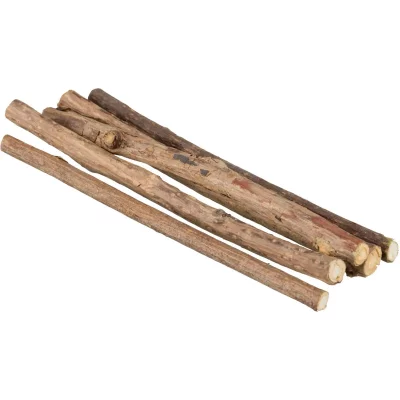 TRIXIE Sticks &agrave; M&acirc;cher Matatabi pour Chat 10 g (42427) - 