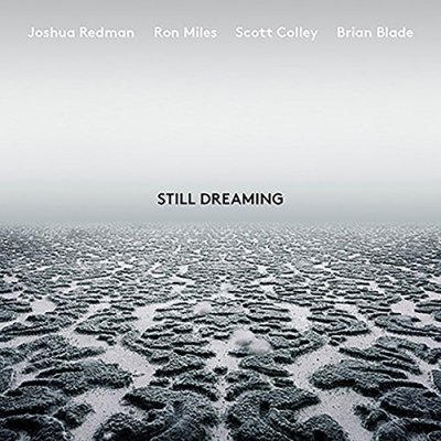 Still Dreaming (Feat. Ron Mile