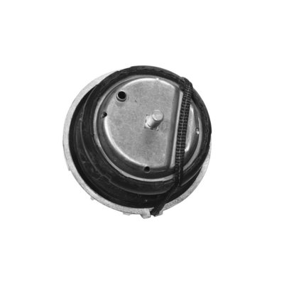 TEDGUM Support (suspension du moteur)  TED46098