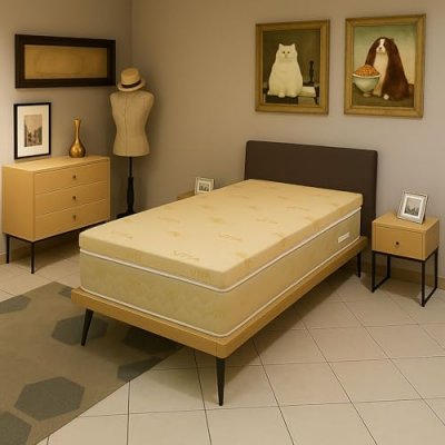 LITERIE JULIEN Surmatelas - Anonyme - 90x190 cm - Mousse Polysoff - D&eacute;houssable - Anallergique &agrave; lAloe Vera