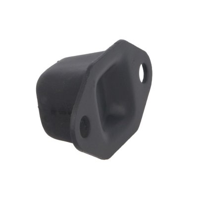 TEDGUM Suspension, bras de liaison  00443679