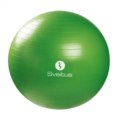 SVELTUS  ballon de fitness 65 cm vert en bo&icirc;te
