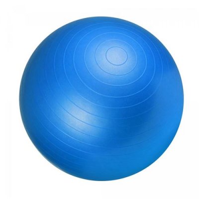 Swiss ball - GORILLA SPORTS - Ballon de gym 65cm - Bleu - Fitness - Adulte