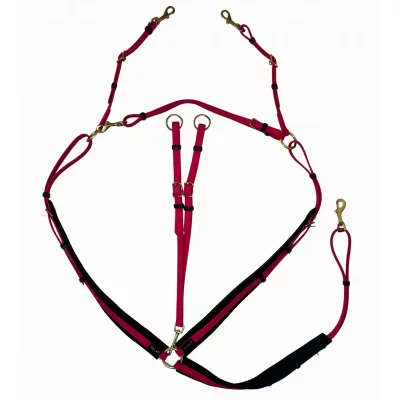 T DE T T&middot;De&middot;T - Collier De Chasse Biotack Fuchsia Cheval
