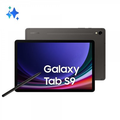 SAMSUNG Tablette  Galaxy Tab S9 128 Go 11 pouces Graphite