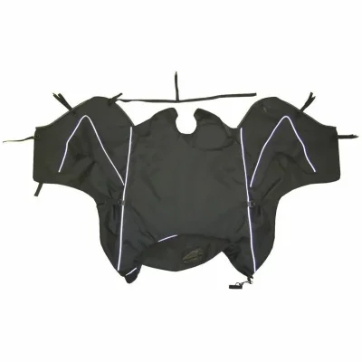 BAGSTER Tablier moto  Boomerang Kymco G Dink 125 2011-2015