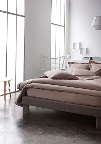 TODAY Taie de traversin Privacy 100% coton 57 fils  unie - beige mastic