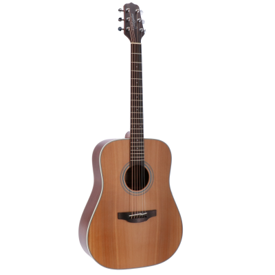 TAKAMINE  GD20-NS guitare acoustique folk
