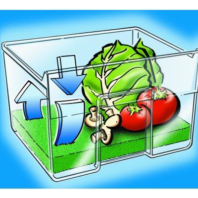 WENKO Tapis de r&eacute;frig&eacute;rateur sp&eacute;cial fra&icirc;cheur fruits et l&eacute;gumes