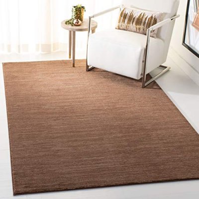 SAFAVIEH Tapis de salon interieur en marron, 122 x 183 cm