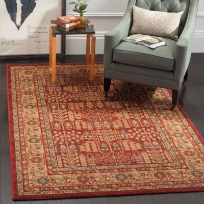 SAFAVIEH Tapis de salon interieur en rouge & naturel, 155 x 231 cm