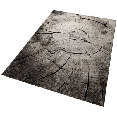 WECON HOME Tapis motif tronc d'arbre marron et noir pour chambre, salon 170x120