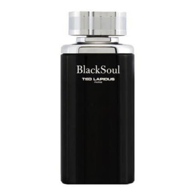 Ted Lapidus Black Soul Eau de Toilette Vaporisateur 100 ml