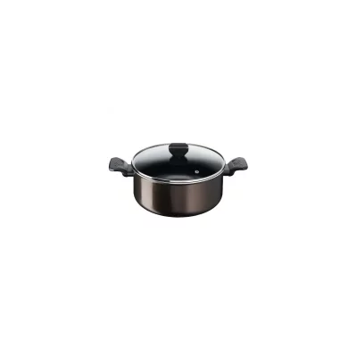 TEFAL  Faitout 20 cm 3L + couvercle &middot; Easy Cook & Clean