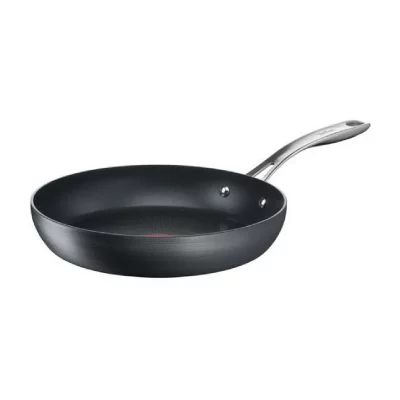 TEFAL  - po&ecirc;le aluminium 20cm g2560202 - unlimited premium DART-4846150