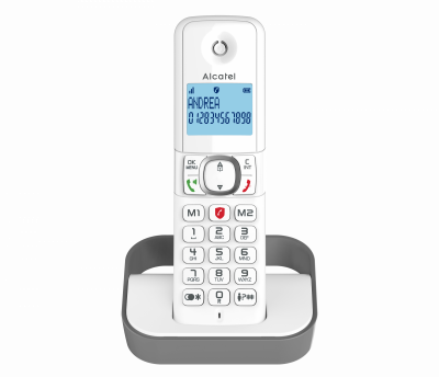 ALCATEL T&eacute;l&eacute;phone sans fil  F 860 Solo Gris