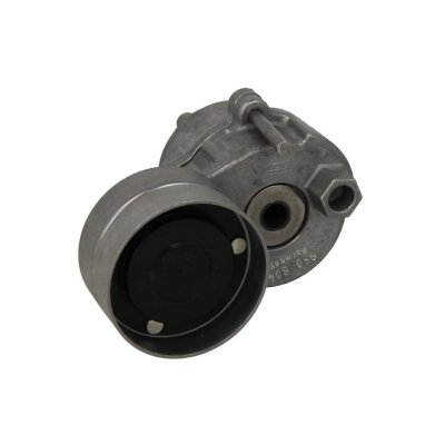 SKF Tendeur de courroie (courroie &agrave; nervures en V)  VKMCV 53011