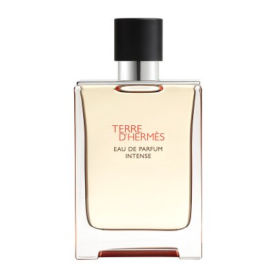 Terre d'Herm&egrave;s - Eau de Parfum Intense-100ml HERM&Egrave;S