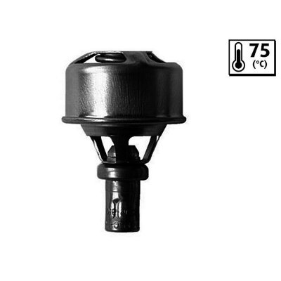 VALEO Thermostat/calorstat  819921 (X1)