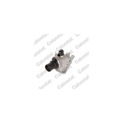 CALORSTAT BY VERNET Thermostat d'eau VERNET S.A.S. TH6575.88J