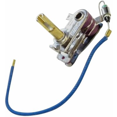 ASTORIA Thermostat+fusible - Centrale vapeur (500583474 )