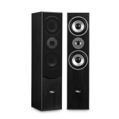 LTC TLC Paire d'enceintes HiFi/Home-Cin&eacute;ma 2x500W L766-BK