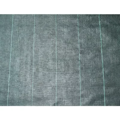 NATURE Toile de paillage 100 gr/ m&sup2; noir pr&eacute;d&eacute;coup&eacute;e, Dimensions 2 x 5 m