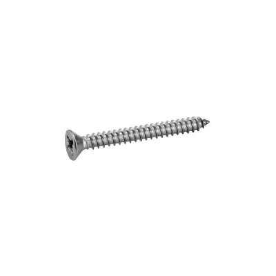 ACTON SIS TOPCAR - 100 vis TF 4.8X25.4 - 7982-10X25.4
