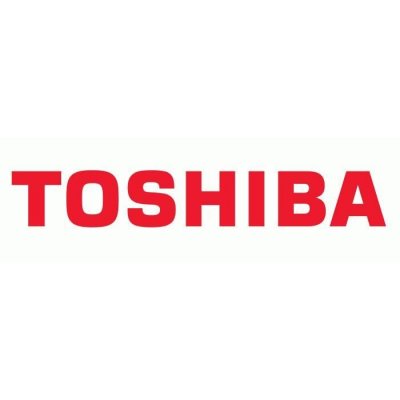 DYNABOOK Toshiba  Stylet Universal avec support
