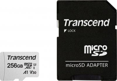 TRANSCEND  MicroSDXC Class 10 (256 Go)