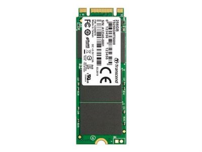 TRANSCEND  MTS600 - SSD - 256 Go - interne - M.2 2260 - SATA 6Gb/s