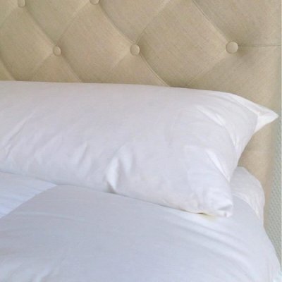 CASTEX COUETTES NATURELLES Traversin plat naturel moelleux en plumes et duvet 90 cm